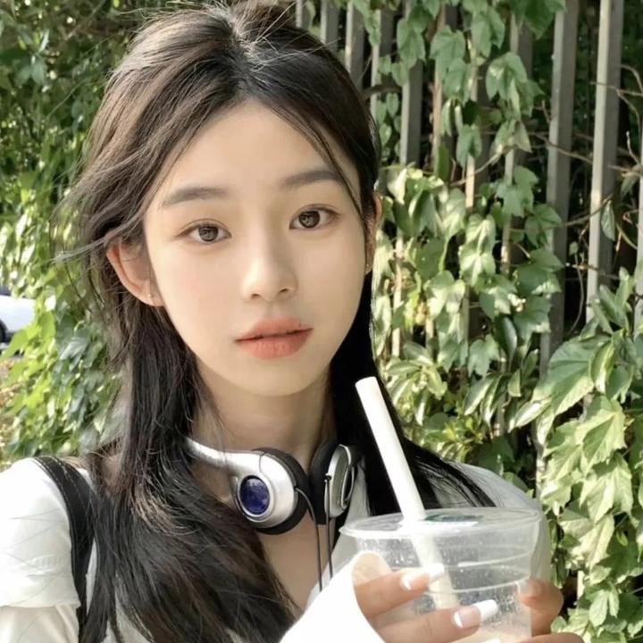 招惹玫瑰